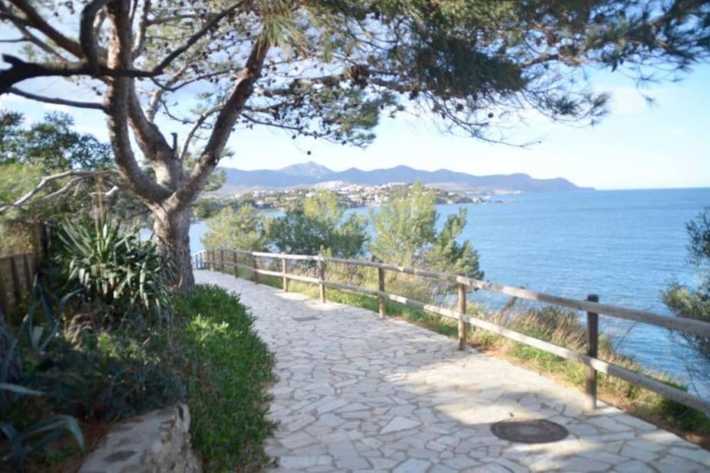 Residence Avec Piscine Face A La Mer, 1Ere Ligne Llanca Exterior photo